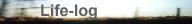 Life-log