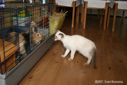 Dagelijkse foto